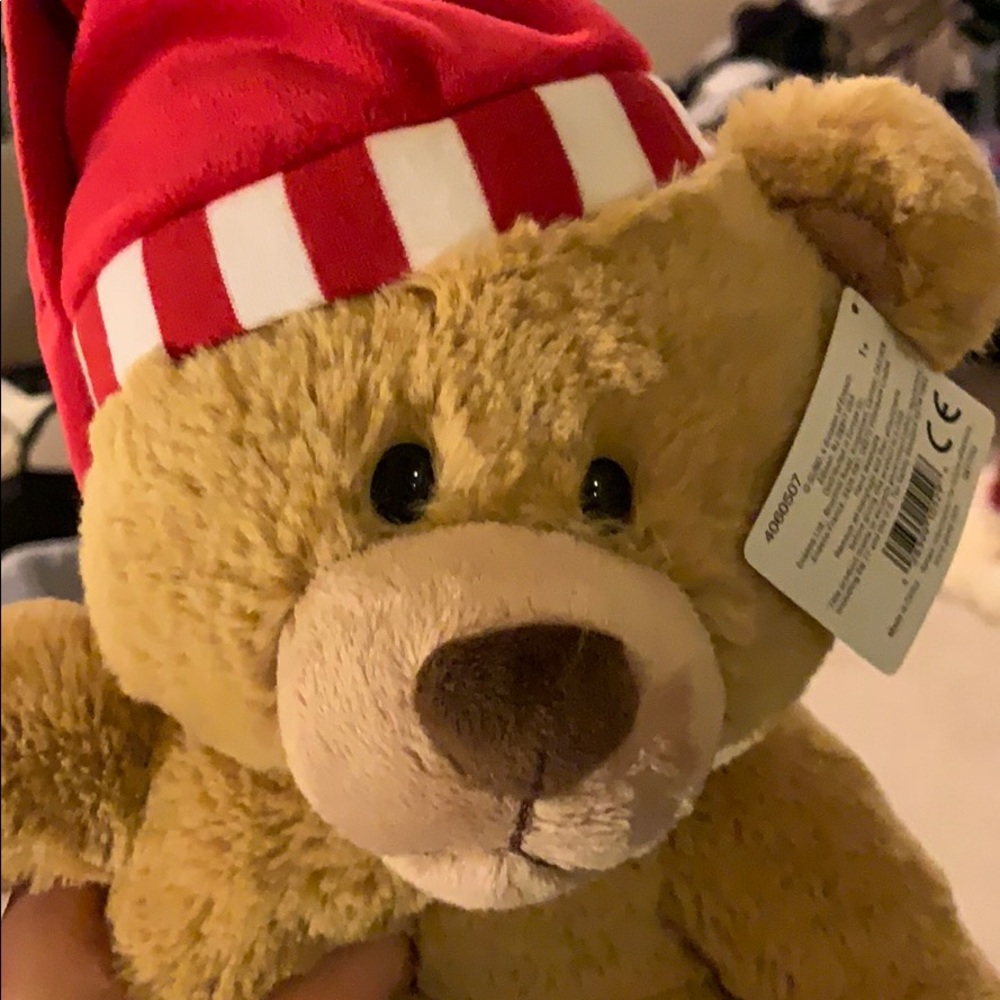 Amazon Gund Teddy Bear NEW